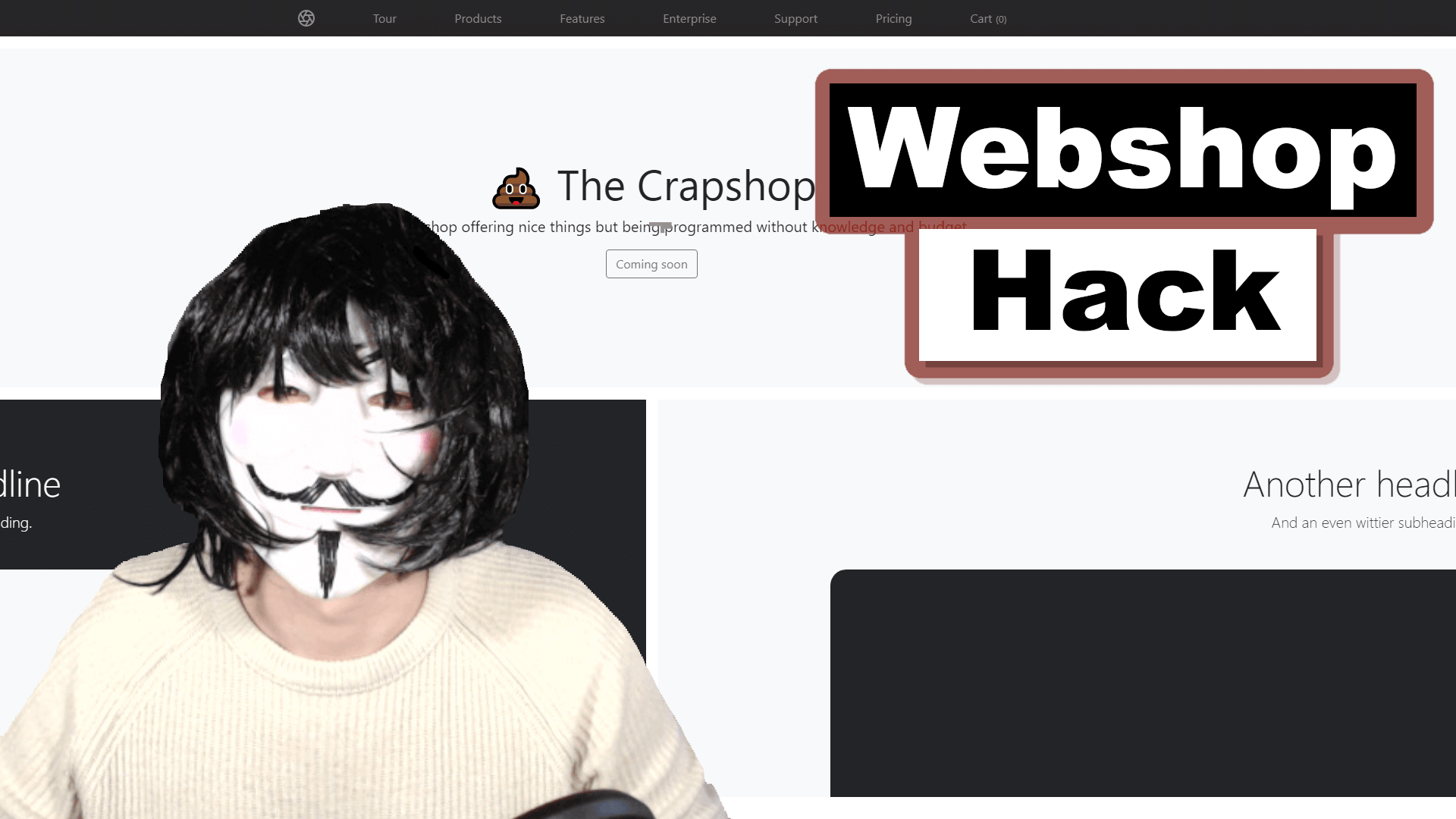 Hacking a webshop – Thumbnail